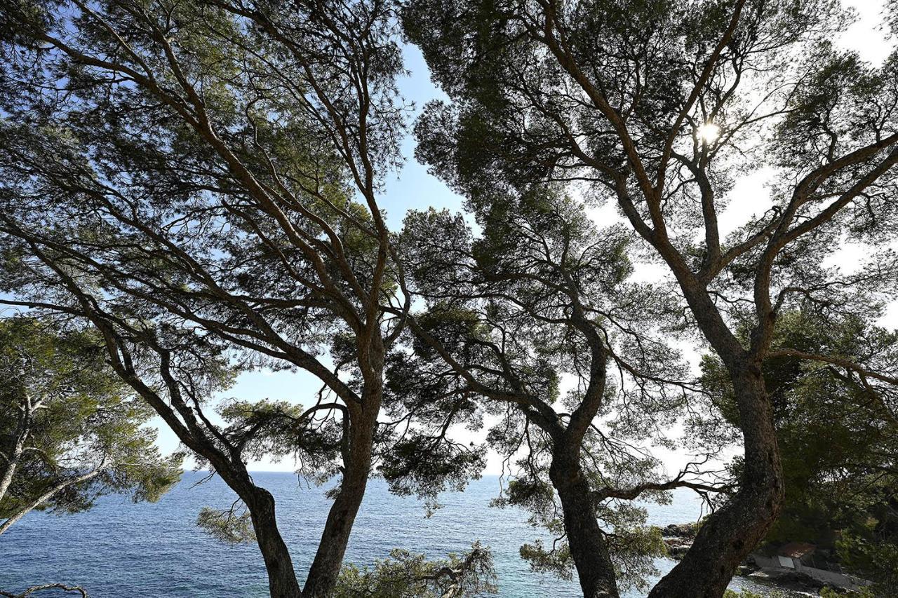 Charmant Studio 2A4 Pers Avec Jardin Et Place De Parking Situe A 5 Min A Pied De La Mer Бандоль Экстерьер фото