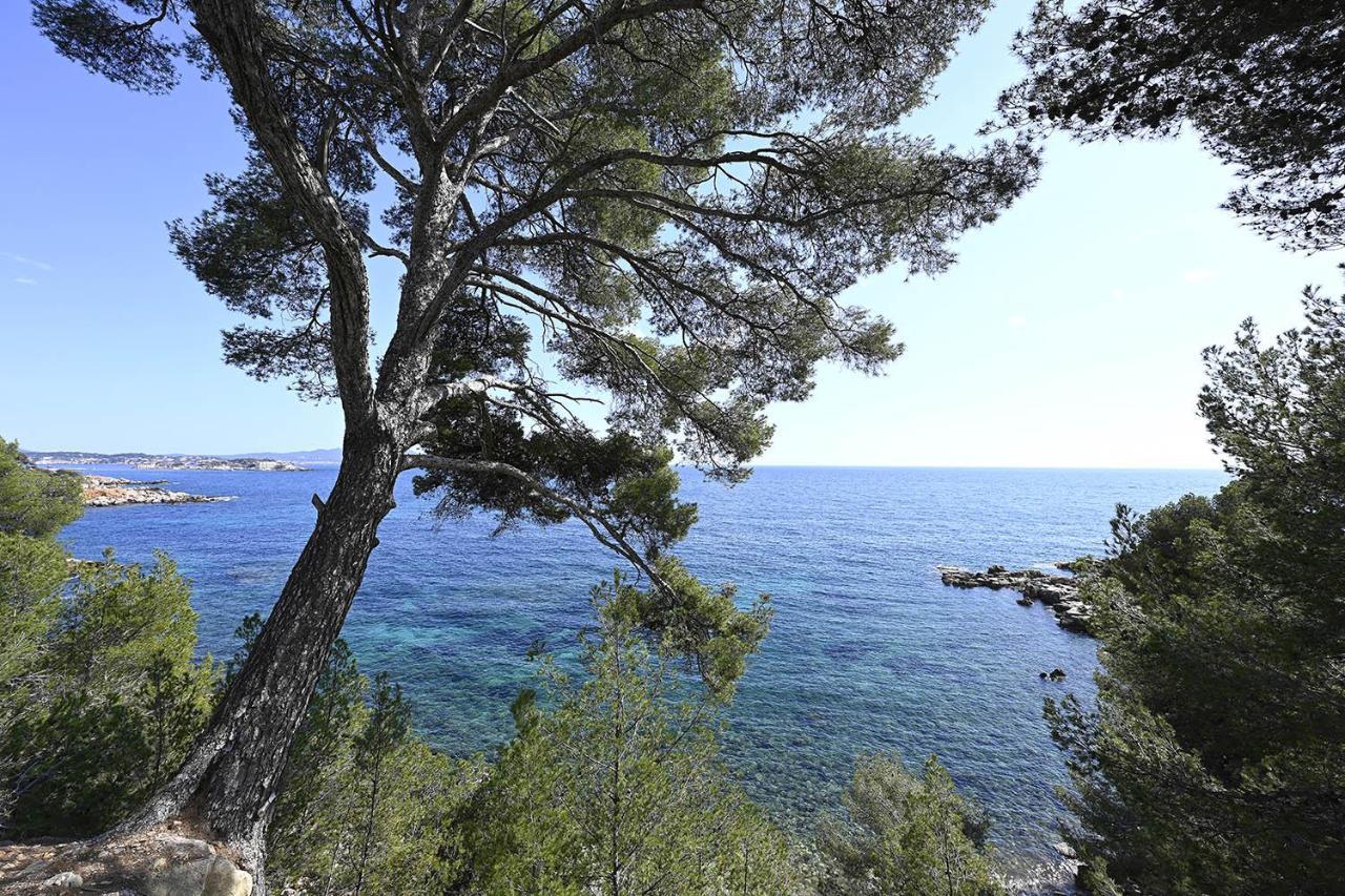 Charmant Studio 2A4 Pers Avec Jardin Et Place De Parking Situe A 5 Min A Pied De La Mer Бандоль Экстерьер фото